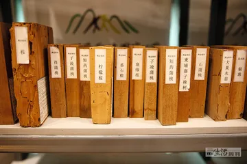 在海南，寻找最好的热带雨林17