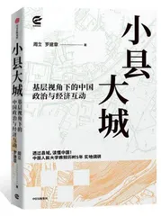 小县大城的四个典型案例