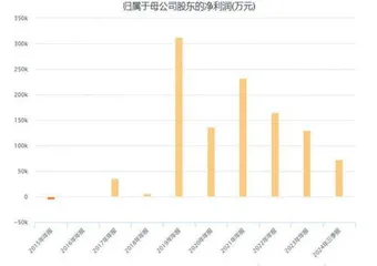 居然智家：实控人突遭留置转型之路面临挑战