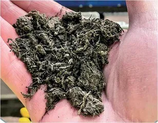 这家工厂利用粪便生产肥料不但环保还能省电百分之九十五1