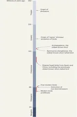 中科院团队发现新化石将鸟类起源时间提前两千万年