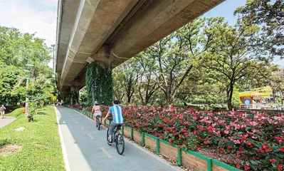 “绿色城市”麦德林3