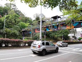 “绿色城市”麦德林4