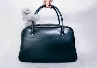 如果机器人够可爱，你会愿意把它放家里吗？