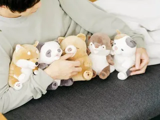 如果机器人够可爱,你会愿意把它放家里吗?6