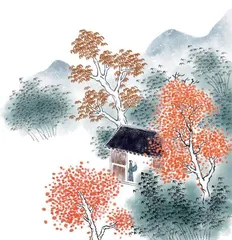 少年