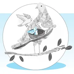 鸽子成长的奥秘