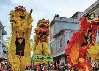 田阳壮族狮舞:民俗绽华彩1