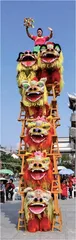 田阳壮族狮舞:民俗绽华彩2