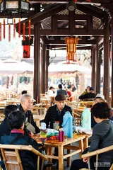 填四川，从老虎荒野到天府之国2