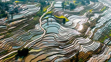 填四川，从老虎荒野到天府之国3