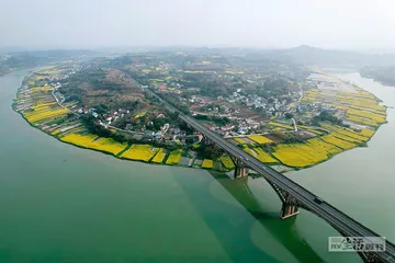 蔗糖：甜城与甜食消费爆发1