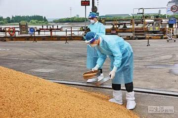 全球贸易的美国现实4