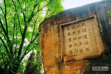 火药与炮：从领先到落后1
