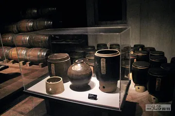 火药与炮：从领先到落后5