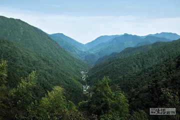 武夷山，一场物种多样性的自然教育之旅1