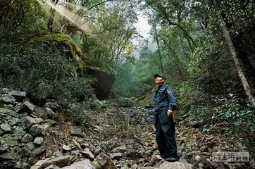 武夷山，一场物种多样性的自然教育之旅14