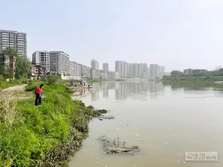 “铊”污染水源事件：一次“意外”的监测失守3