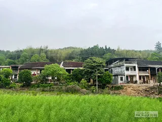 “铊”污染水源事件：一次“意外”的监测失守4