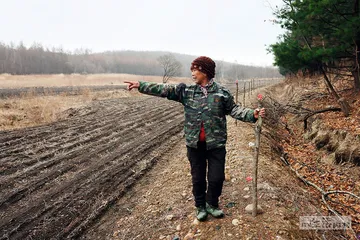 东北虎豹国家公园：与猛兽共存6