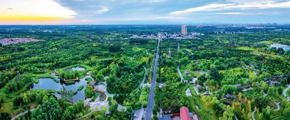 “深入推进大规模国土绿化行动”