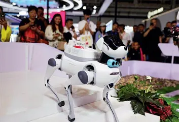 购在中国6