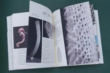 五月阅读在对抗与共生中重启世界2