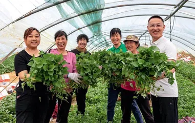 “齐鲁最美基层高校毕业生”常彦磊：带着农民干   帮着农民赚