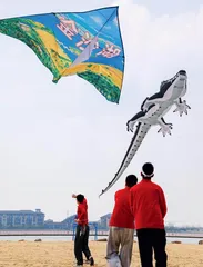 春风和煦 纸鸢竞舞