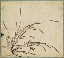 幽兰生矣6