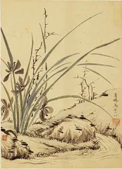 幽兰生矣8