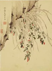 幽兰生矣9