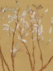 幽兰生矣11