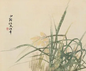 幽兰生矣13