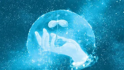 播下诚实的种子，允许它经历若干次倒春寒