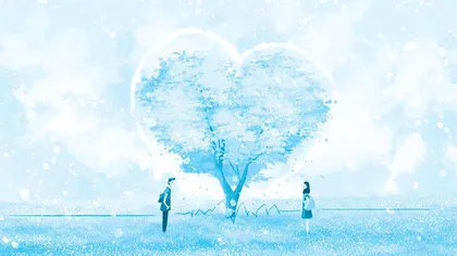 爱的新生，花开遇见你