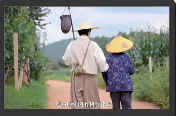 《追的故事》3