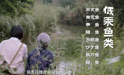 《追的故事》12