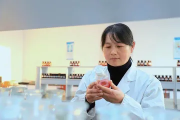 吴兴燕，一名车间女工的25年技术突围