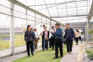 图片故事1