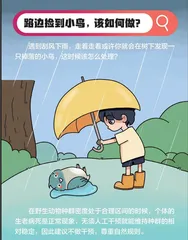 漫画天地