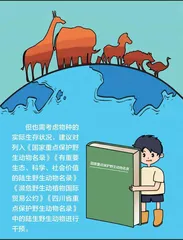 漫画天地1