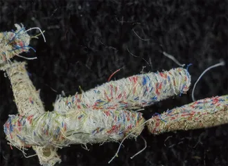 爱吃毛线的衣蛾13