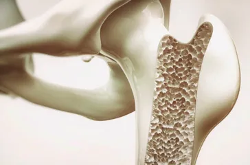 科学流言榜
