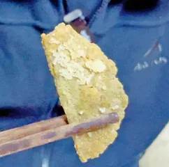 小米与它的祖先——狗尾草7