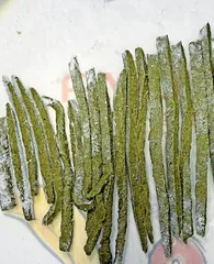 小米与它的祖先——狗尾草9