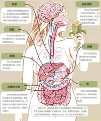 吃点儿“苦”，对身体好