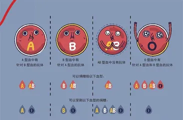 什么是血型?6