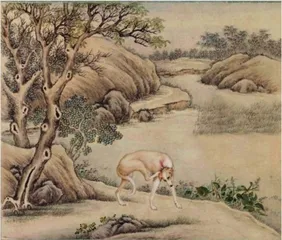 国宝小档案——《十骏犬图册》5