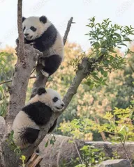 一句话科普1